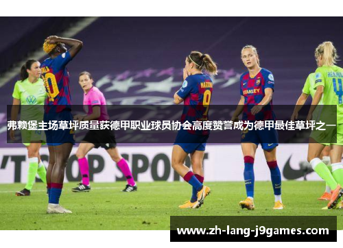 弗赖堡主场草坪质量获德甲职业球员协会高度赞誉成为德甲最佳草坪之一 弗赖堡主场草坪质量获德甲职业球员协会高度赞誉成为德甲最佳草坪之一